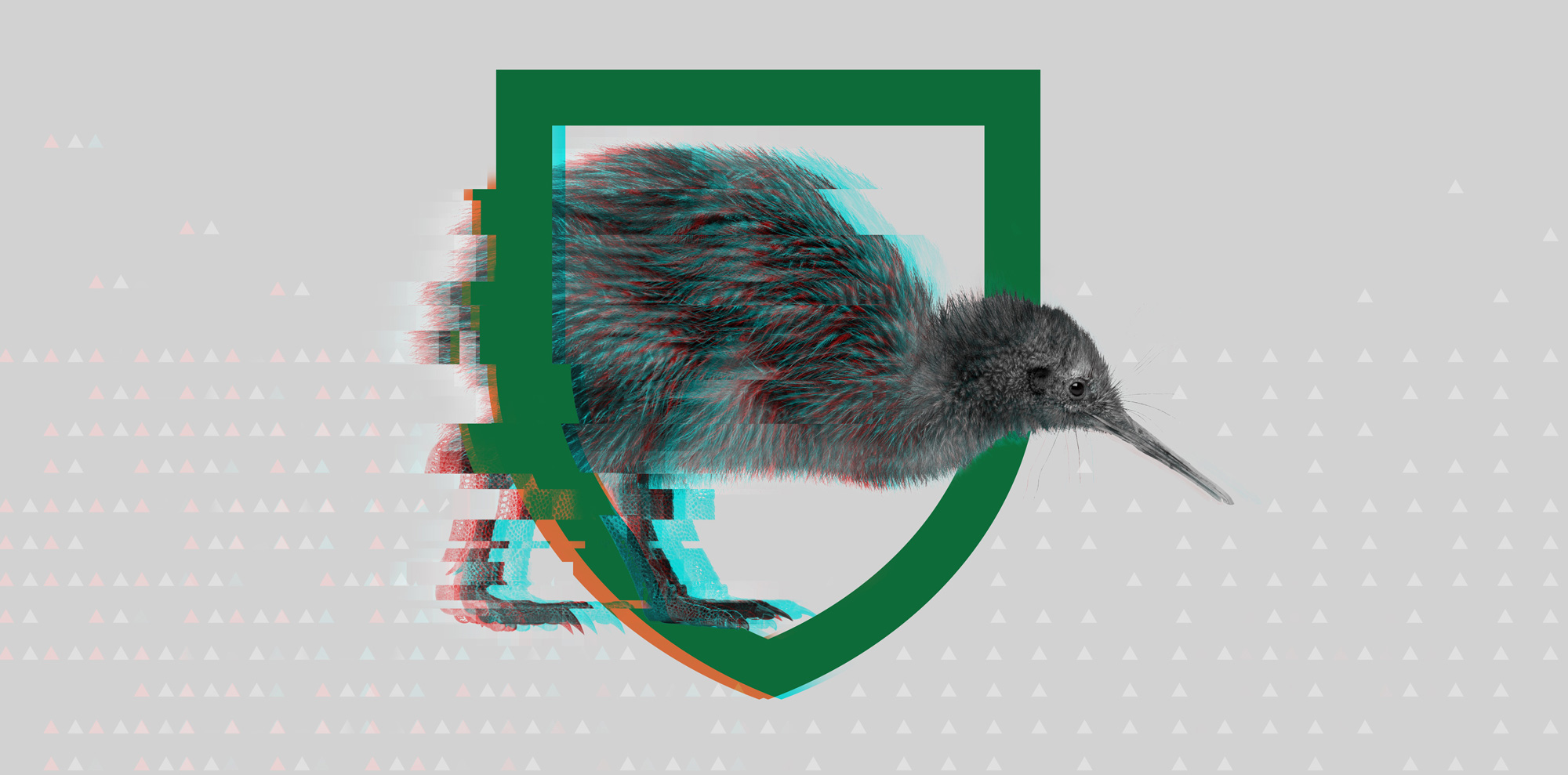Cover image of a Kiwi bird with a shield bordering it